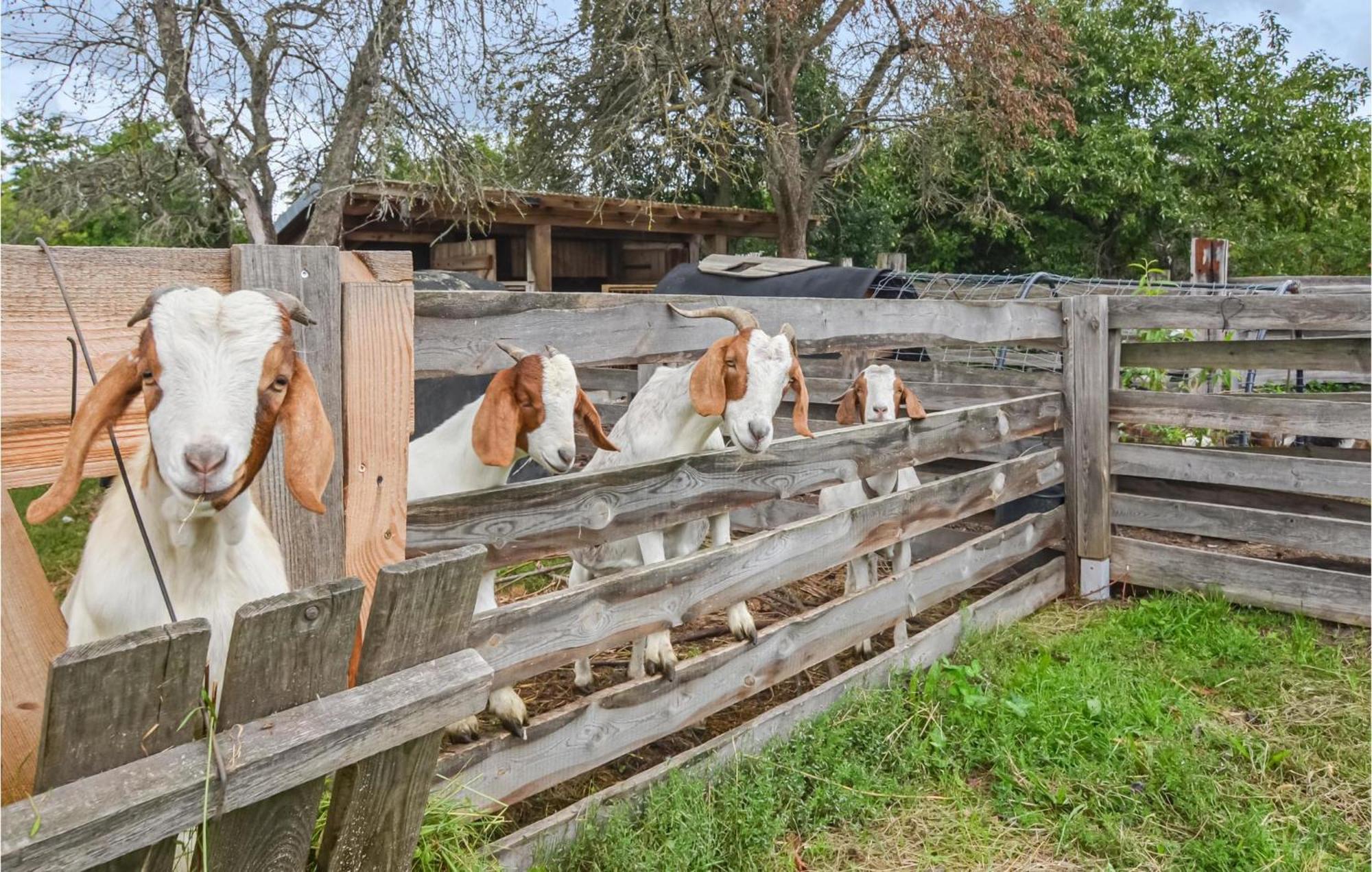 Ferienhaus Dorfstrasse W Langengrassau Exterior foto
